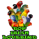 TOP Isian Lovebird aplikacja