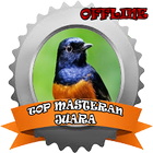 TOP Masteran Juara biểu tượng