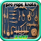 knots guide 2017 biểu tượng