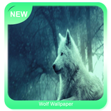 Wolf Wallpaper icône