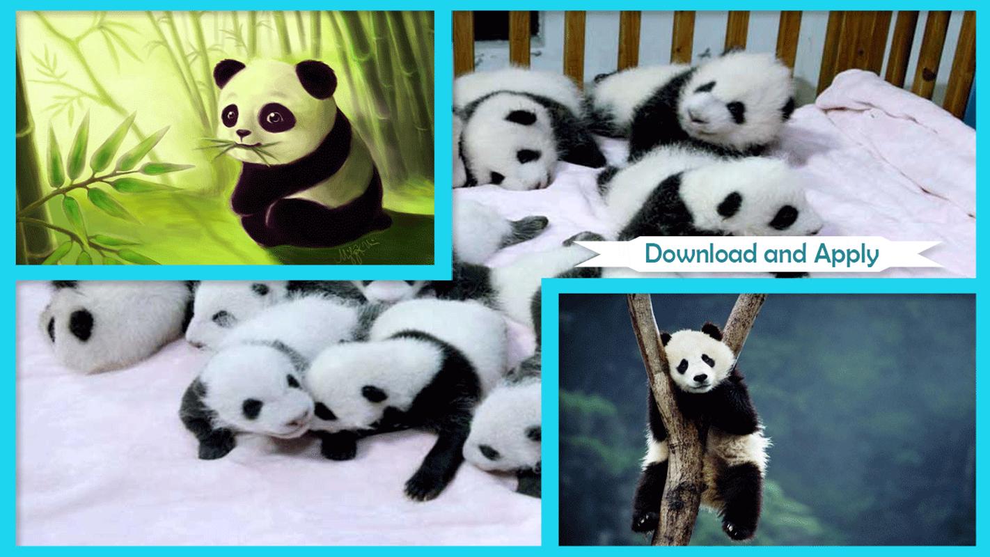Panda Wallpaper For Android APK Download