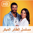 مسلسل الطائر المبكر HD icon