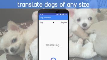 Dog Translator bài đăng