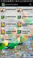 Sound of Lovebird 포스터