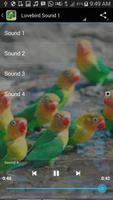 Sound of Lovebird 스크린샷 1