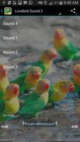 Sound of Lovebird 스크린샷 2