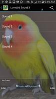 Sound of Lovebird تصوير الشاشة 3