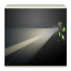 Flashlights + Torch icône