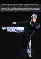 Wing Chun Solo by Fryd captura de pantalla 1