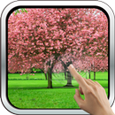 Magic Touch: The Sakura Garden APK