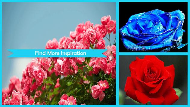 Download Amazing 3d Rose Live Wallpaper Free Apk For Android