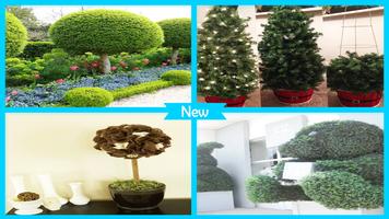 Awesome Topiary Tree Projects पोस्टर