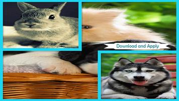 Cute Animals Live Wallpaper 截圖 1