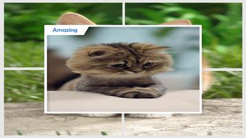 Cute Animals Live Wallpaper captura de pantalla 3