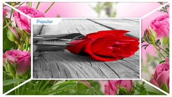 3D Rose Live Wallpaper HD اسکرین شاٹ 1