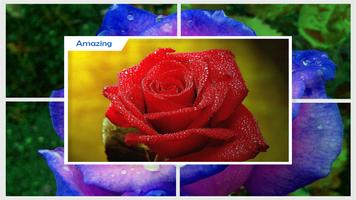 3D Rose Live Wallpaper HD স্ক্রিনশট 2