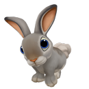 My Rabbit Farm APK