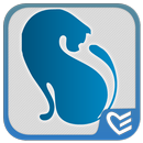 Memory Cat APK