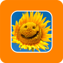 Позитив. Приколы APK