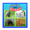 National Geographic Kids Animals APK