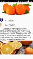 Recipes Dehydrator Fruit Affiche