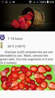 Recipes Dehydrator Fruit screenshot 1