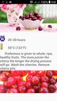 Recipes Dehydrator Fruit screenshot 2
