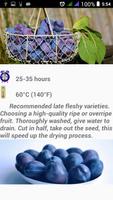 Recipes Dehydrator Fruit screenshot 3