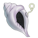Magic Conch Shell icône