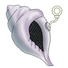 Magic Conch Shell ikona