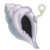 Magic Conch Shell icon