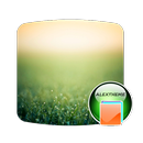 Theme Macrogreen APK