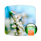 Theme Spring icon