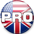 Английские Слова PRO ícone