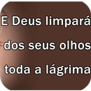 Frases Evangélicas  Boa Tarde APK