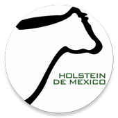 Holstein Socio MX icon
