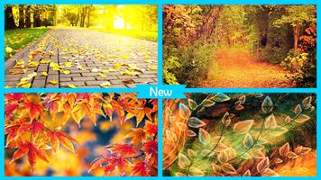 Autumn Leaves Live Wallpaper screenshot 3