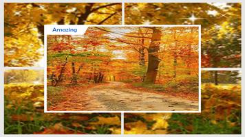 Autumn Leaves Live Wallpaper screenshot 2