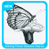 Drawing Flower Sketches Step by Step icon