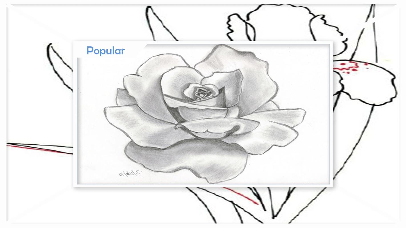 Menggambar Sketsa Bunga Langkah Demi Langkah For Android APK Download