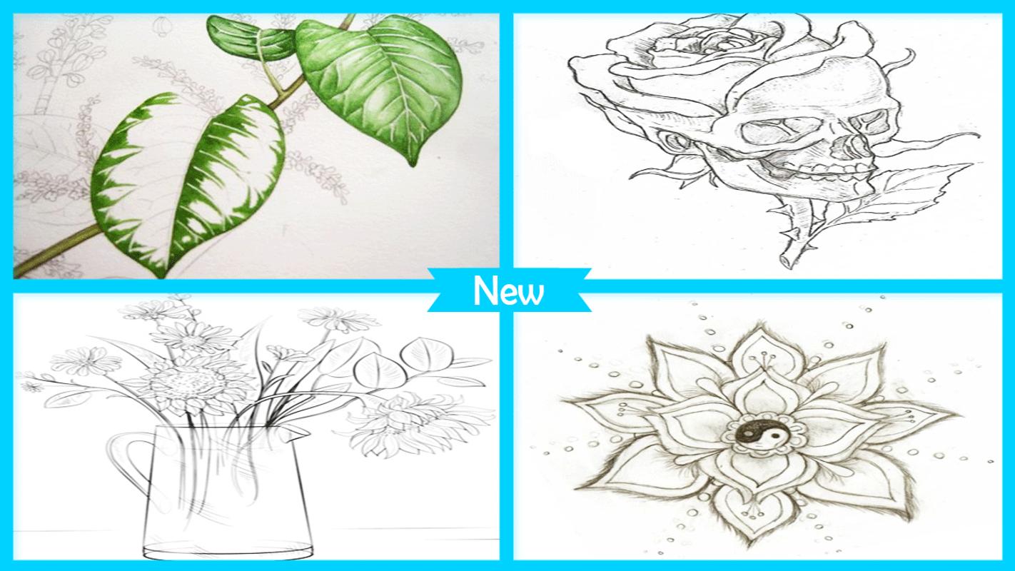 Menggambar Sketsa Bunga Langkah Demi Langkah For Android APK Download