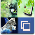 ”live wallpapers HD
