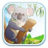 Koala Bear Run
