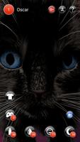 Мой котенок (черный наряд) скриншот 1