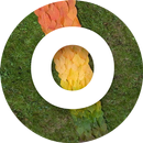OCD help APK
