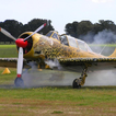 Wallpapers Yakovlev Yak 52