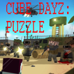 Cube DayZ Puzzle