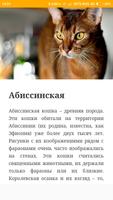 برنامه‌نما Породы кошек عکس از صفحه