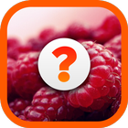 Guess fruit from picture icon