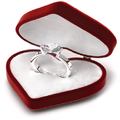 Engagement Invitation
